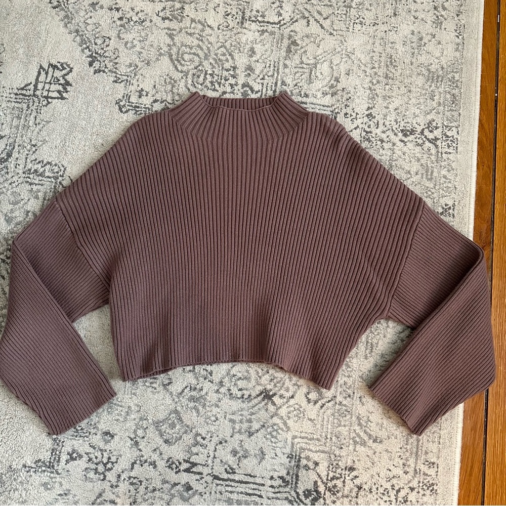 Zara Ribbed Mock Neck Crop Sweater